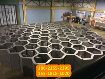 一站式蜂巢迷宮租賃 專業廠家提供攝像與制作服務